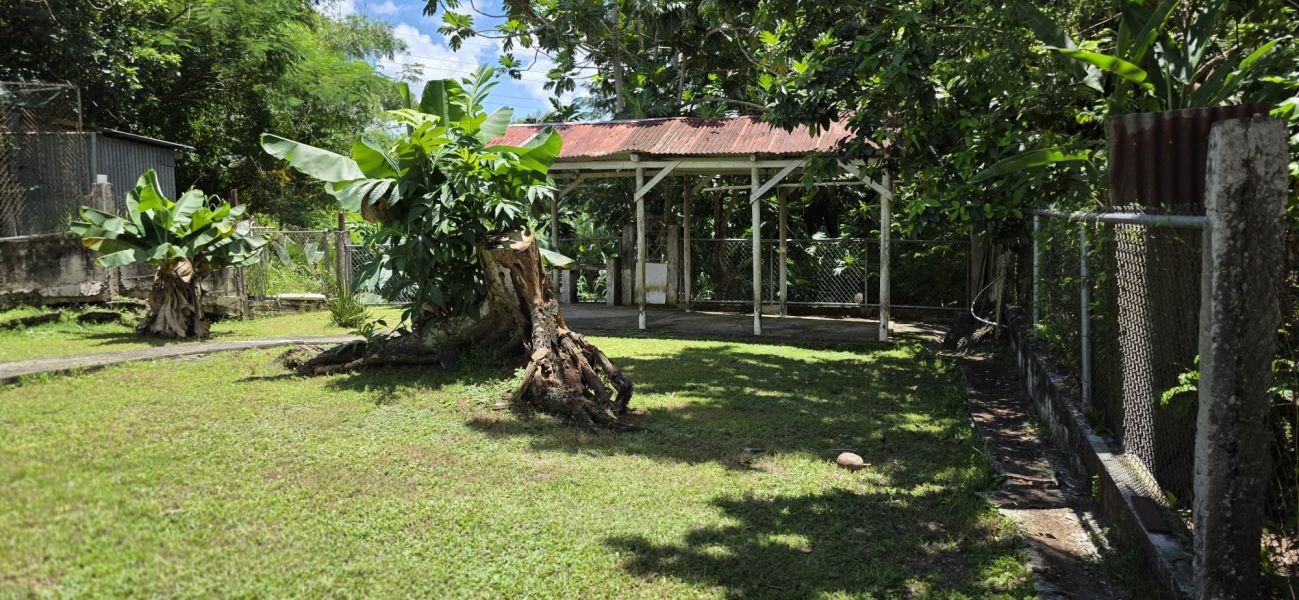 Urb Verdum I #11 Calle Felix Ramos Jurado Hormigueros 00660 PR