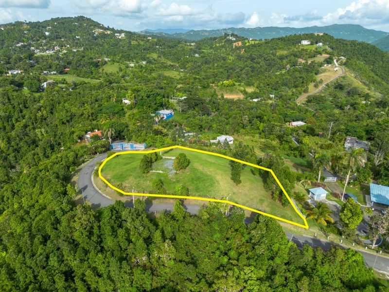 Bo Cercadillo Carr 715 Solar 1 Urb Vistas Del Cari Cayey 00736 PR