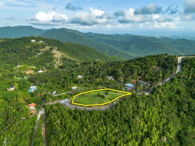 Bo Cercadillo Carr 715 Solar 1 Urb Vistas Del Cari Cayey 00736 PR