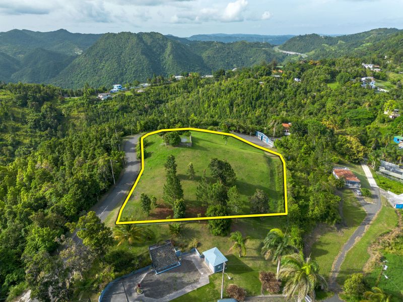 Bo Cercadillo Carr 715 Solar 1 Urb Vistas Del Cari Cayey 00736 PR