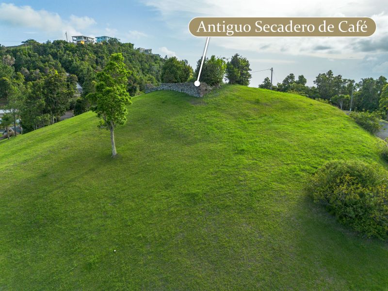 Bo Cercadillo Carr 715 Solar 1 Urb Vistas Del Cari Cayey 00736 PR