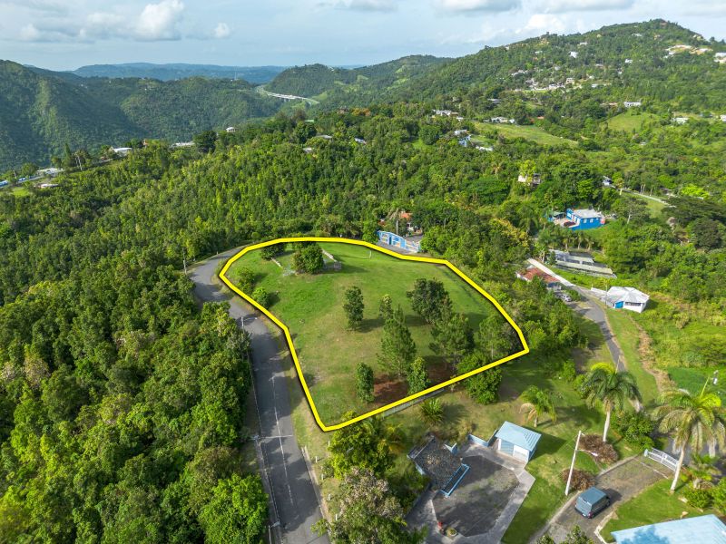 Bo Cercadillo Carr 715 Solar 1 Urb Vistas Del Cari Cayey 00736 PR