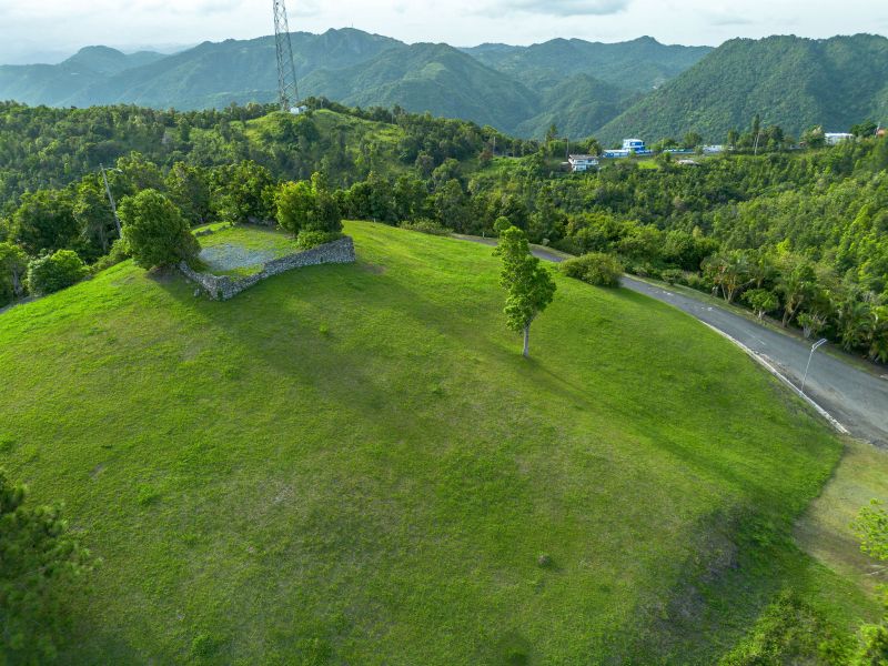 Bo Cercadillo Carr 715 Solar 1 Urb Vistas Del Cari Cayey 00736 PR