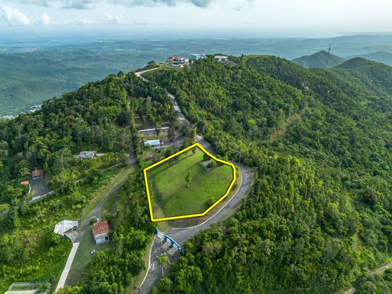 Bo Cercadillo Carr 715 Solar 1 Urb Vistas Del Cari Cayey 00736 PR
