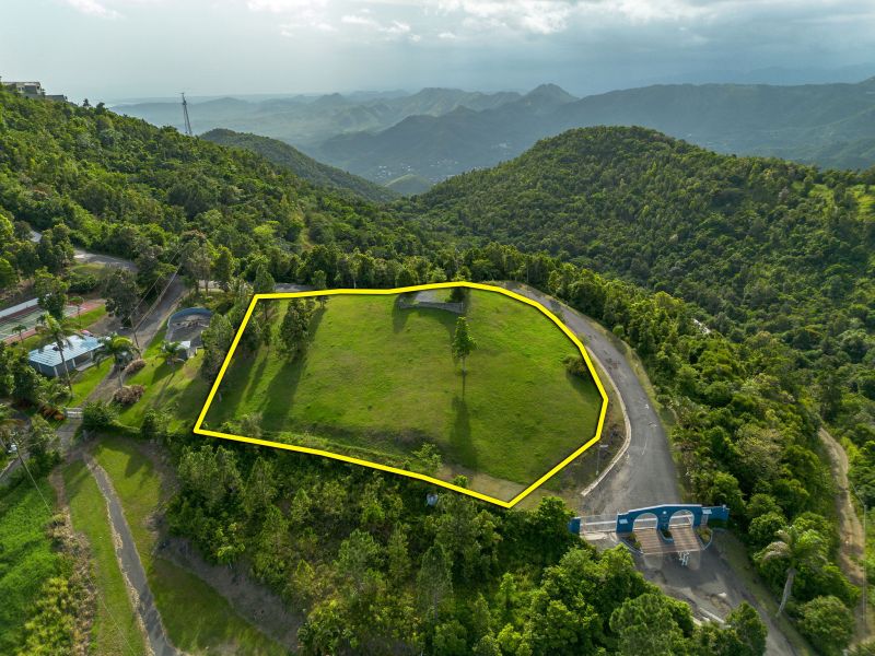 Bo Cercadillo Carr 715 Solar 1 Urb Vistas Del Cari Cayey 00736 PR