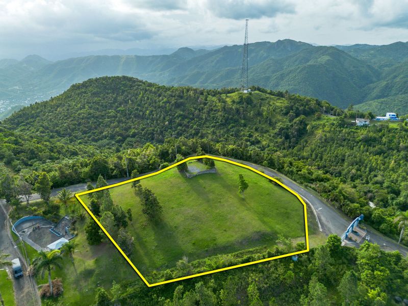 Bo Cercadillo Carr 715 Solar 1 Urb Vistas Del Cari Cayey 00736 PR