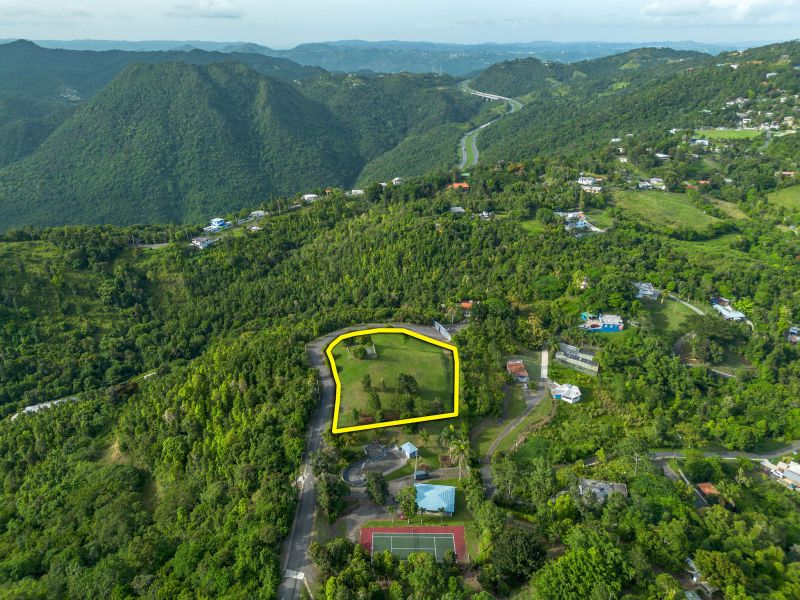 Bo Cercadillo Carr 715 Solar 1 Urb Vistas Del Cari Cayey 00736 PR