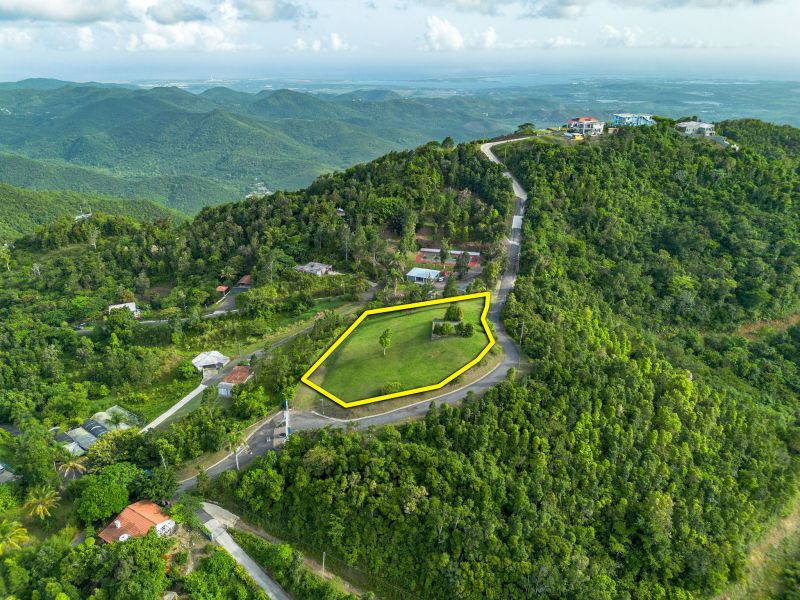 Bo Cercadillo Carr 715 Solar 1 Urb Vistas Del Cari Cayey 00736 PR