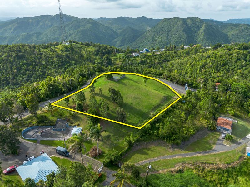 Bo Cercadillo Carr 715 Solar 1 Urb Vistas Del Cari Cayey 00736 PR