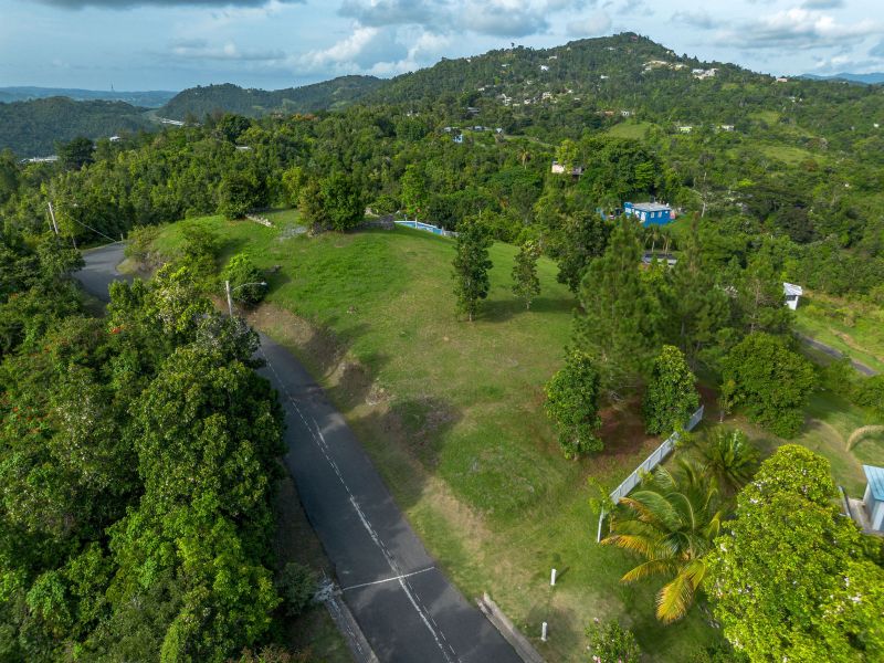 Bo Cercadillo Carr 715 Solar 1 Urb Vistas Del Cari Cayey 00736 PR