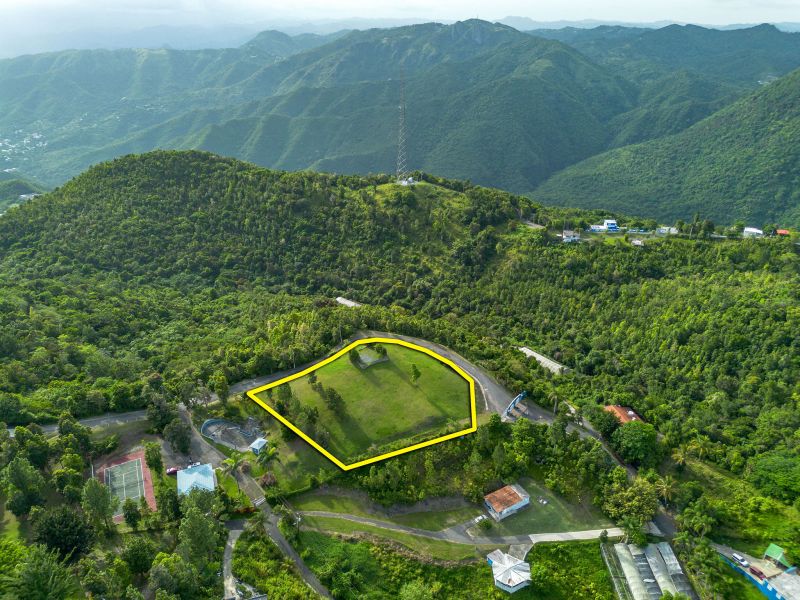 Bo Cercadillo Carr 715 Solar 1 Urb Vistas Del Cari Cayey 00736 PR