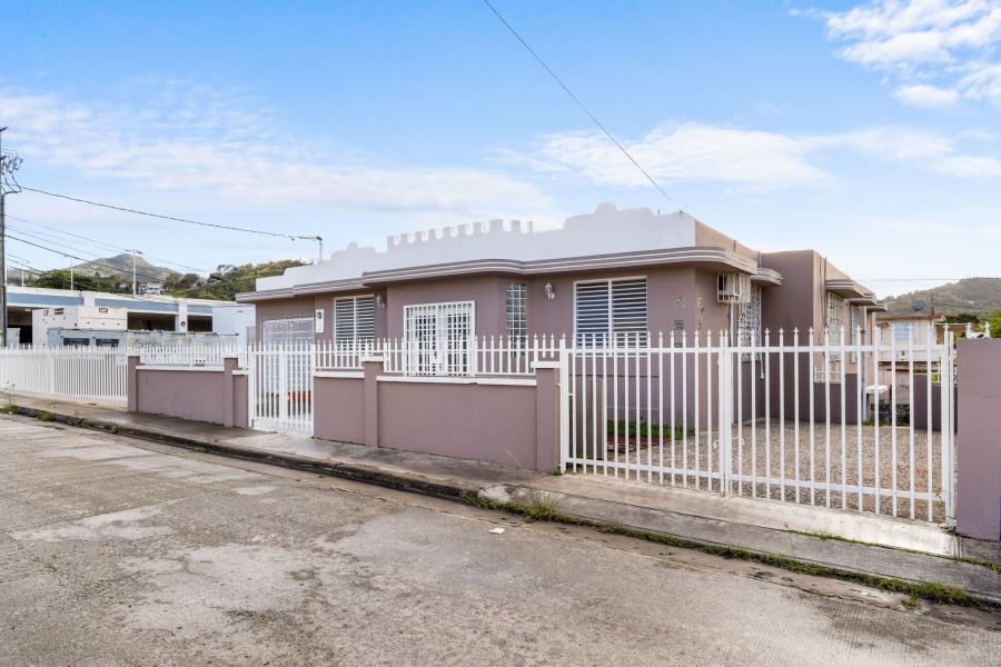 Calle Luis Barreras 172 Bo Pueblo Cayey 00736 PR