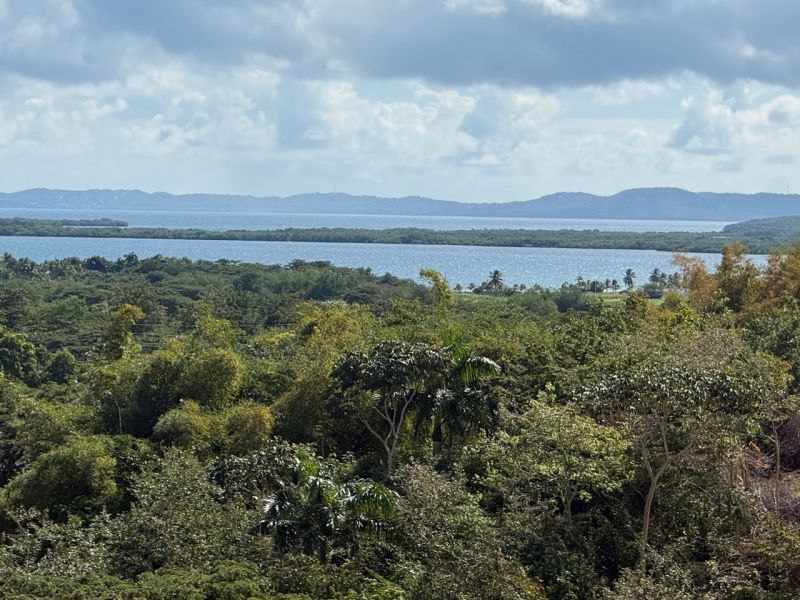 Cond Costa Brava Edificio 18 Apt 401 Ceiba 00735 PR