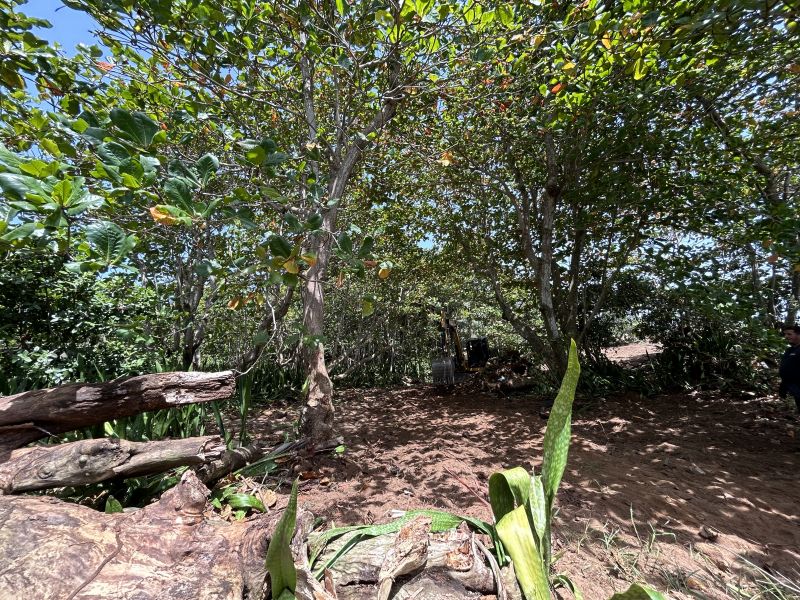 Carr 681 Km 5.5 Bo Islote  Finca #14587 Arecibo 00612 PR