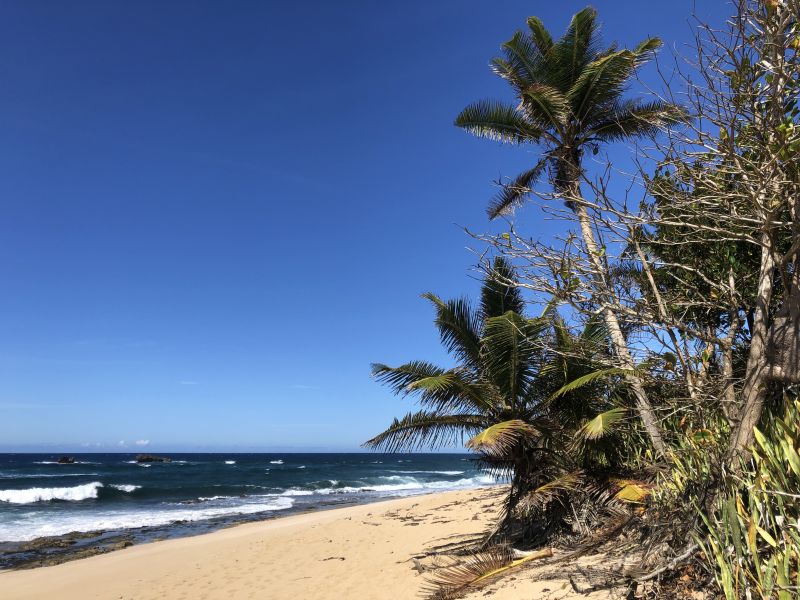 Carr 681 Km 5.5 Bo Islote  Finca #14587 Arecibo 00612 PR