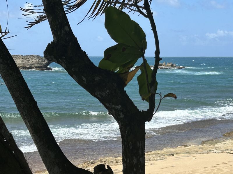 Carr 681 Km 5.5 Bo Islote  Finca #14587 Arecibo 00612 PR