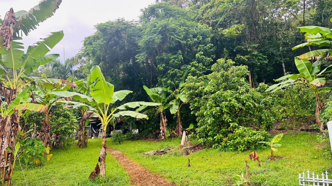 Pr 647 Km 8 Calle Lirios Candelaria Ward Vega Alta 00692 PR