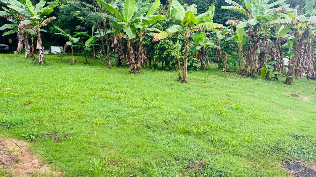 Pr 647 Km 8 Calle Lirios Candelaria Ward Vega Alta 00692 PR