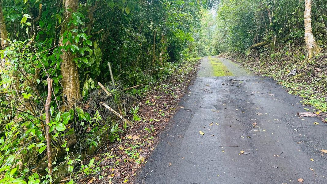 Pr 647 Km 8 Calle Lirios Candelaria Ward Vega Alta 00692 PR