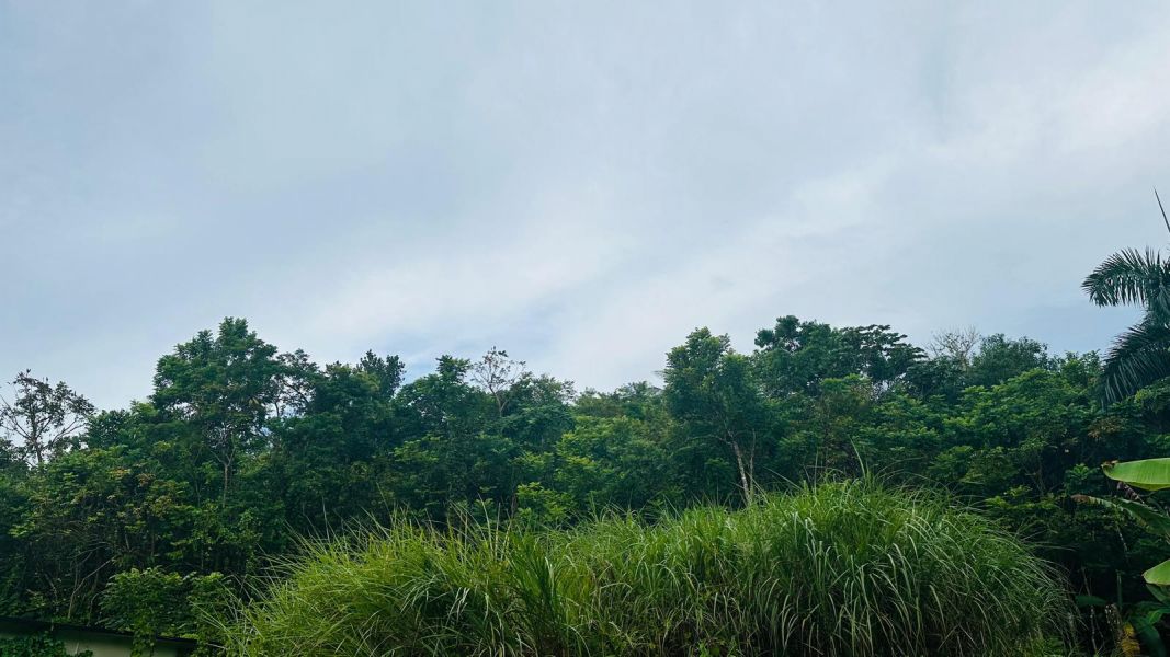 Pr 647 Km 8 Calle Lirios Candelaria Ward Vega Alta 00692 PR