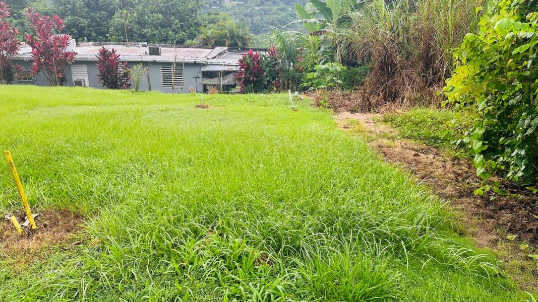 Pr 647 Km 8 Calle Lirios Candelaria Ward Vega Alta 00692 PR