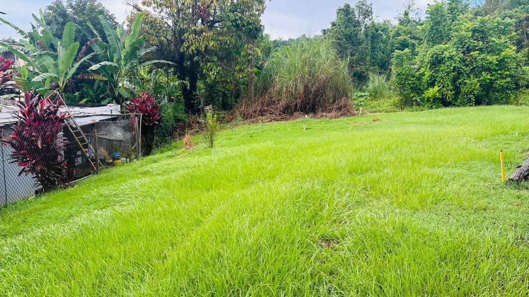 Pr 647 Km 8 Calle Lirios Candelaria Ward Vega Alta 00692 PR