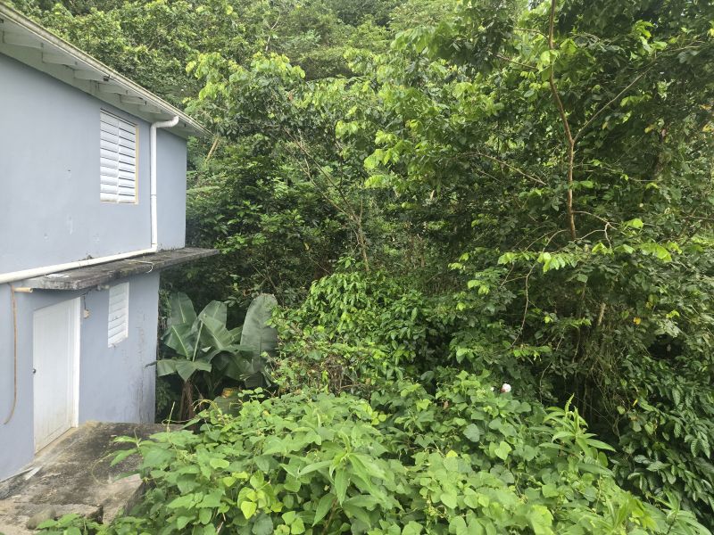 Comm Pellejas #44a Calle 1 Aguada 00601 PR