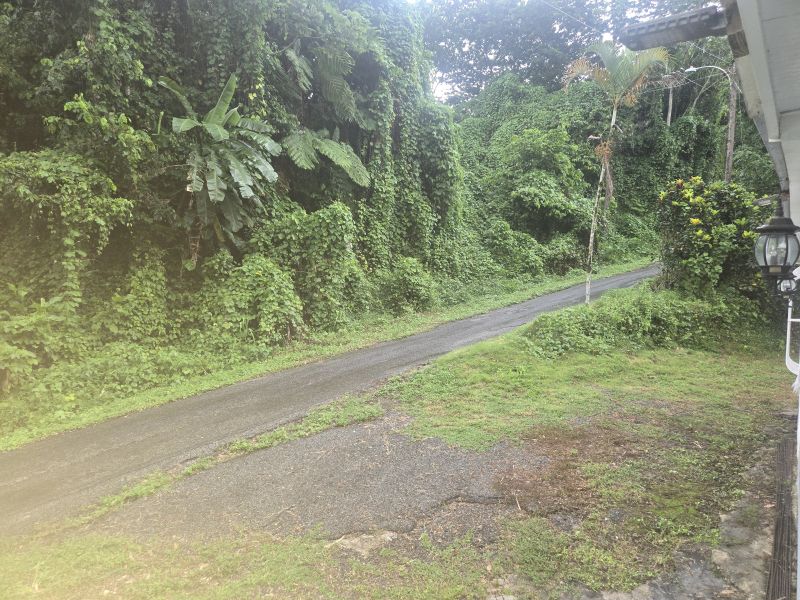 Comm Pellejas #44a Calle 1 Aguada 00601 PR