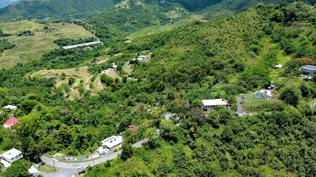 Bo Toita Carr 7729 Km 2.2 Cidra 00739 PR