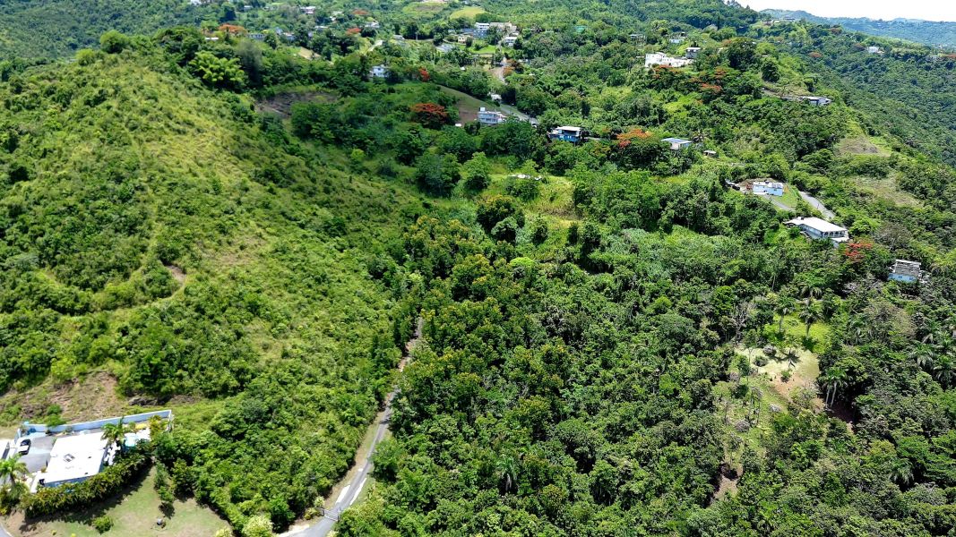 Bo Toita Carr 7729 Km 2.2 Cidra 00739 PR