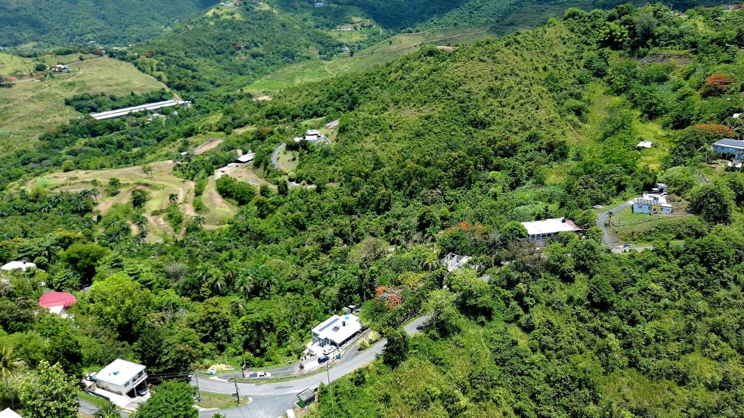 Bo Toita Carr 7729 Km 2.2 Cidra 00739 PR