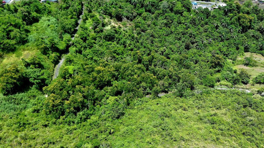 Bo Toita Carr 7729 Km 2.2 Cidra 00739 PR