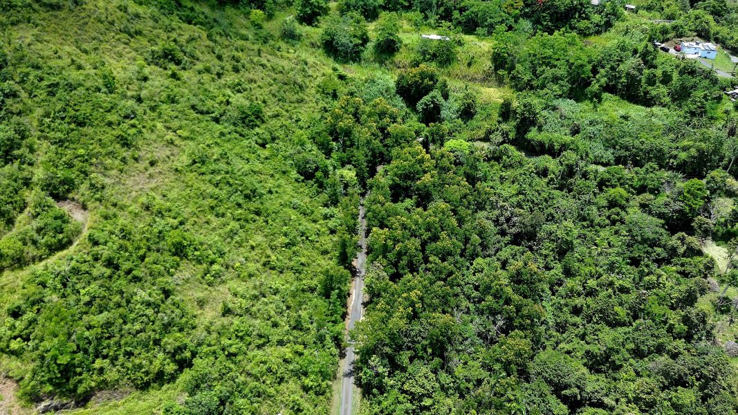 Bo Toita Carr 7729 Km 2.2 Cidra 00739 PR