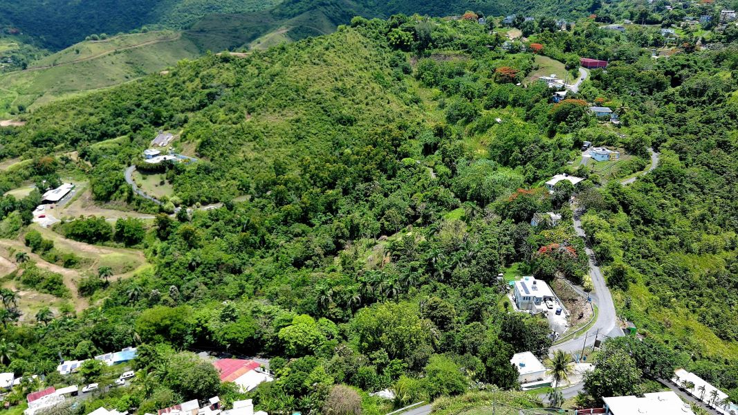 Bo Toita Carr 7729 Km 2.2 Cidra 00739 PR