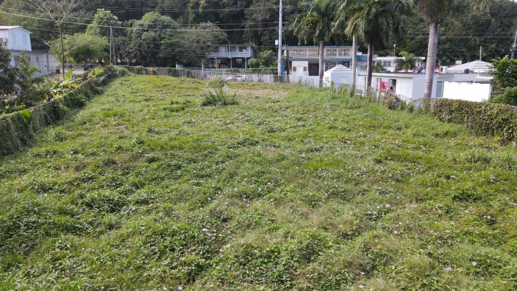 Calle Volcan #83 Carr 871 Bo El Volcan Bayamon 00961 PR