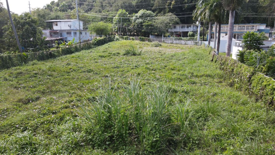 Calle Volcan #83 Carr 871 Bo El Volcan Bayamon 00961 PR