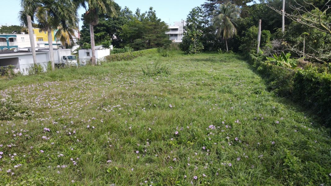 Calle Volcan #83 Carr 871 Bo El Volcan Bayamon 00961 PR