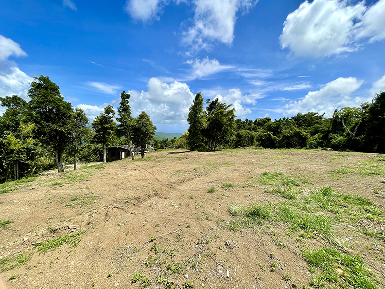 Paraiso Bo Cercadillo Parcela 8 Finca 7464 Cayey 00736 PR