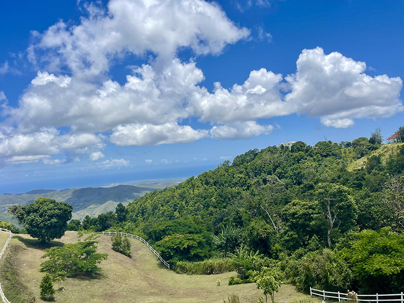 Paraiso Bo Cercadillo Parcela 8 Finca 7464 Cayey 00736 PR