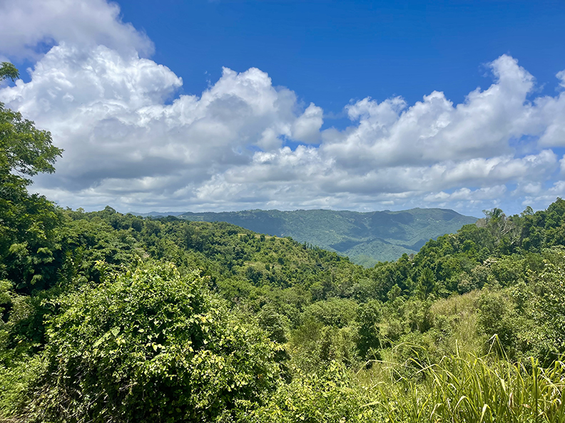 Paraiso Bo Cercadillo Parcela 8 Finca 7464 Cayey 00736 PR