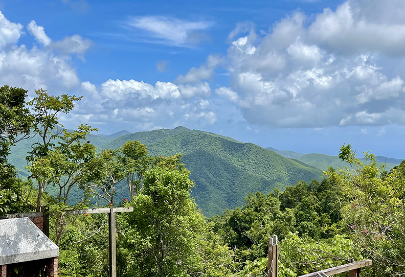 Paraiso Bo Cercadillo Parcela 8 Finca 7464 Cayey 00736 PR