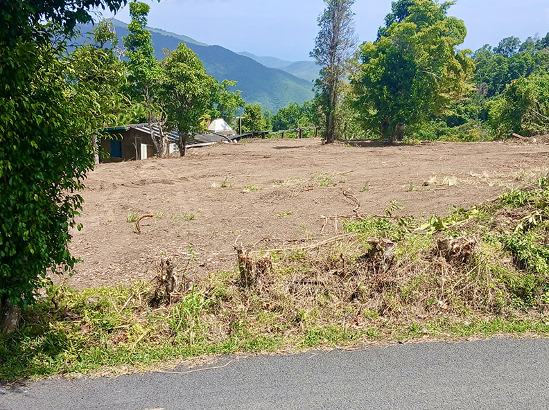 Paraiso Bo Cercadillo Parcela 8 Finca 7464 Cayey 00736 PR