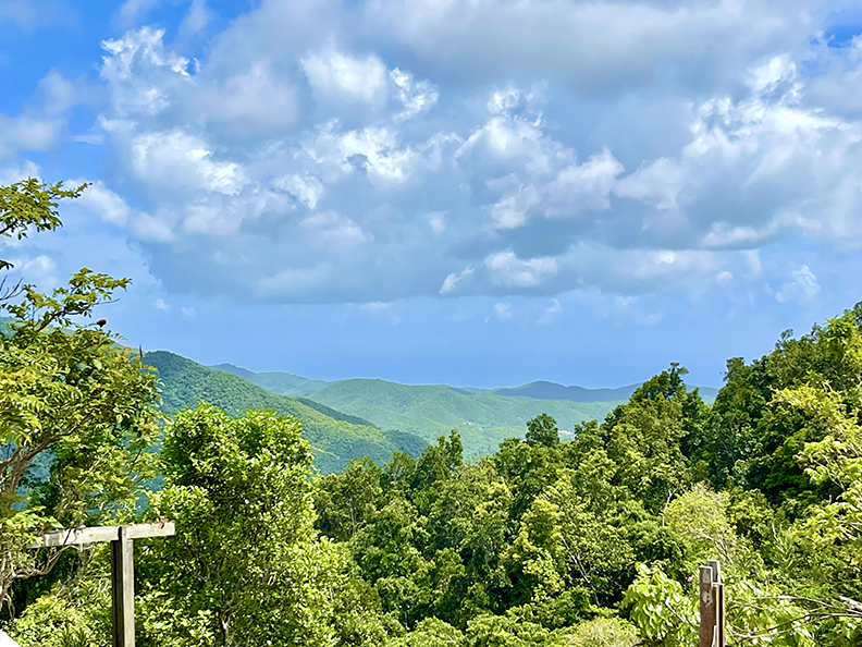 Paraiso Bo Cercadillo Parcela 8 Finca 7464 Cayey 00736 PR