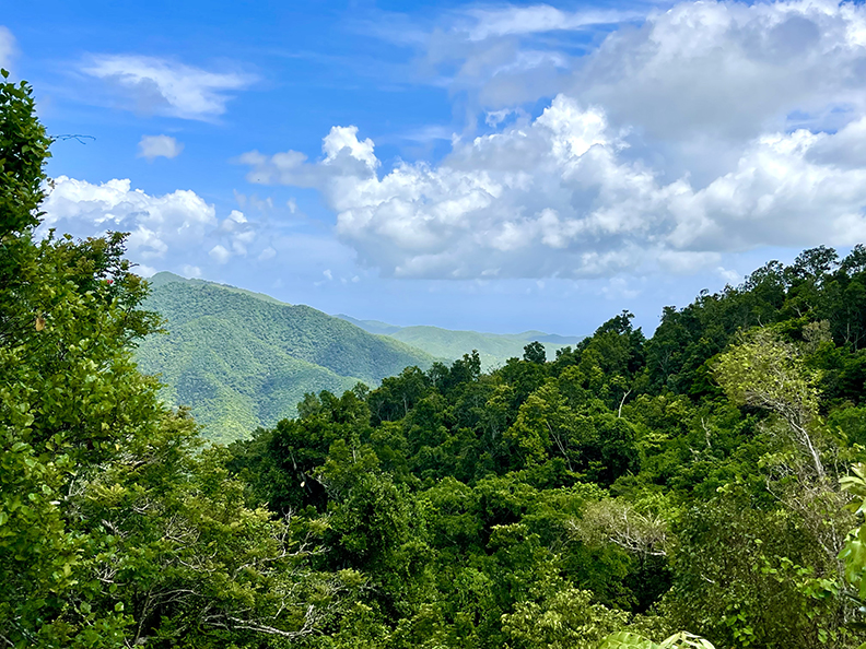 Paraiso Bo Cercadillo Parcela 8 Finca 7464 Cayey 00736 PR