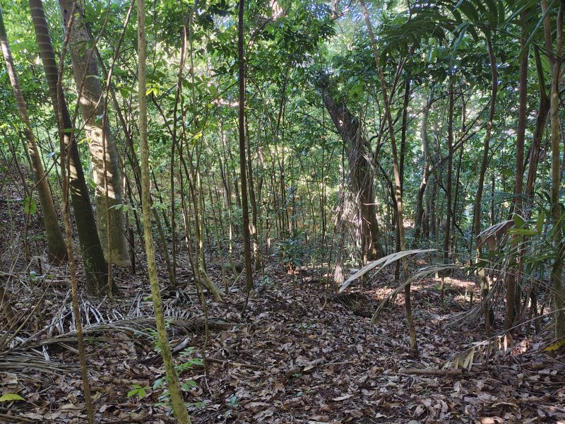 Urb Las Coles Carr 968 Km 1.5 Lot 6 Rio Grande 00721 PR