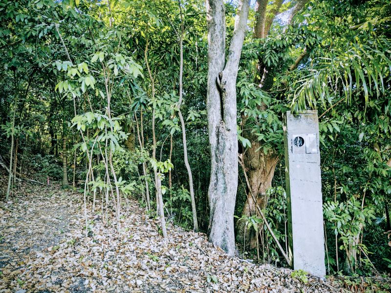 Urb Las Coles Carr 968 Km 1.5 Lot 6 Rio Grande 00721 PR