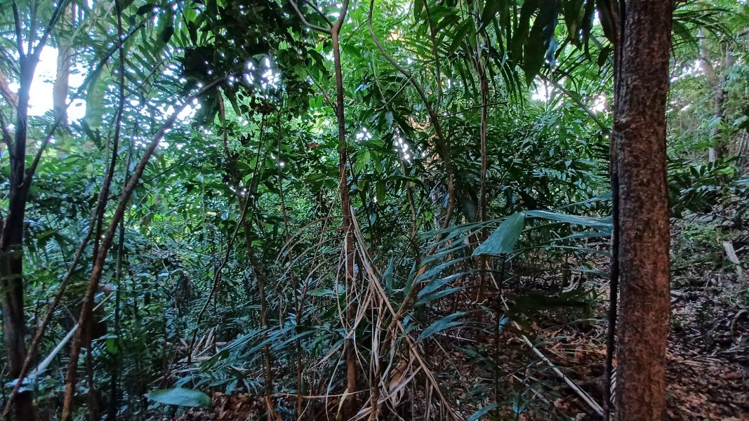 Urb Las Coles Carr 968 Km 1.5 Lot 6 Rio Grande 00721 PR