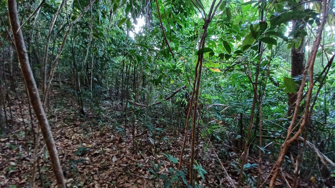 Urb Las Coles Carr 968 Km 1.5 Lot 6 Rio Grande 00721 PR