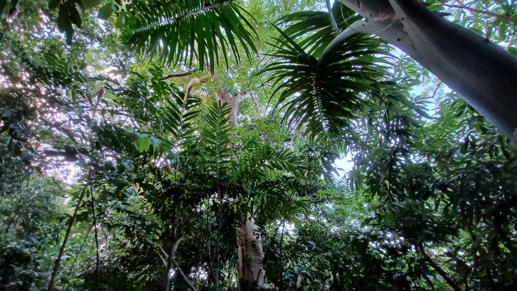 Urb Las Coles Carr 968 Km 1.5 Lot 6 Rio Grande 00721 PR