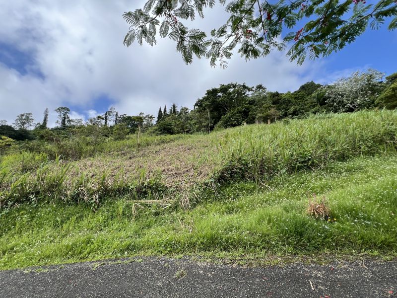 Pr-152r Km 0.2 Int Bo Helechal Barranquitas 00794 PR